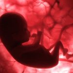 “Generado y no creado”: un libro que desenmascara las supuestas ventajas de la maternidad subrogada